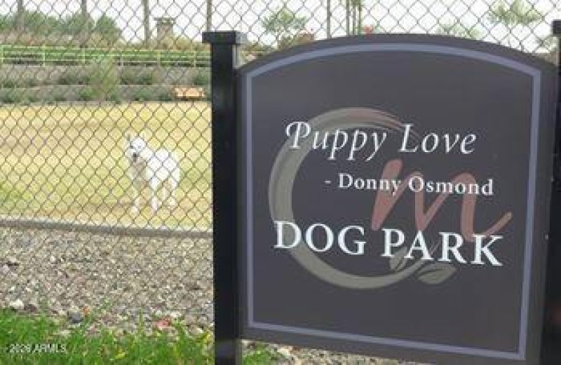 dog park small/large dog park