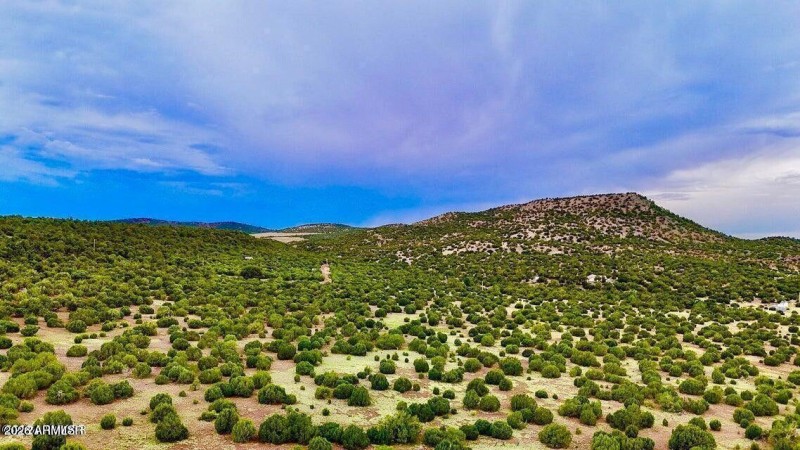 20250103083135355512000000-o