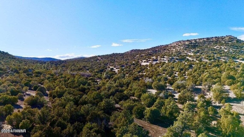 20250103083248909106000000-o