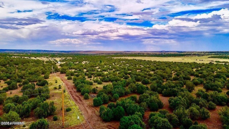 20250103083445880891000000-o