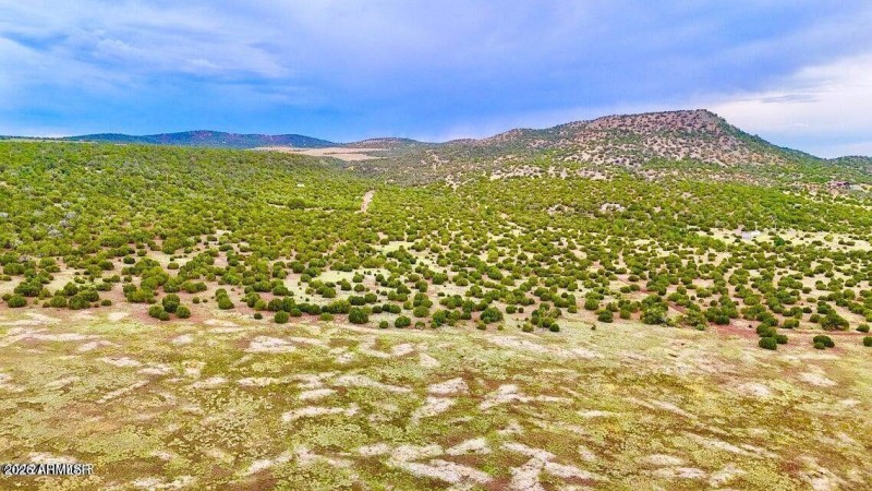 20250103083528395464000000-o