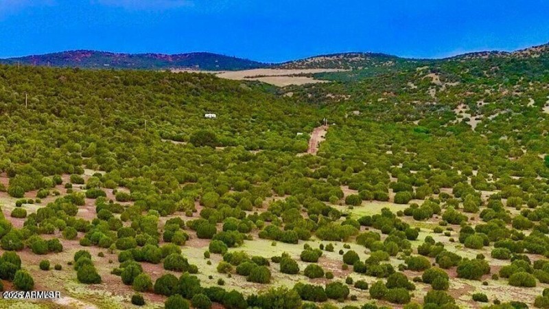 20250103083654986358000000-o