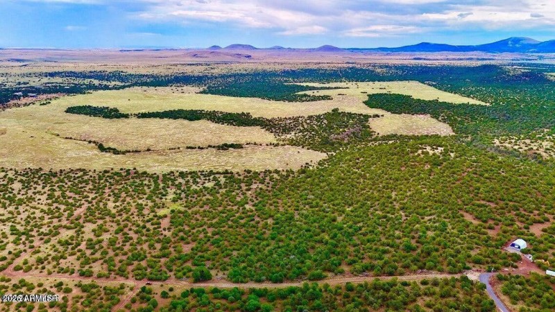 20250103083607404460000000-o