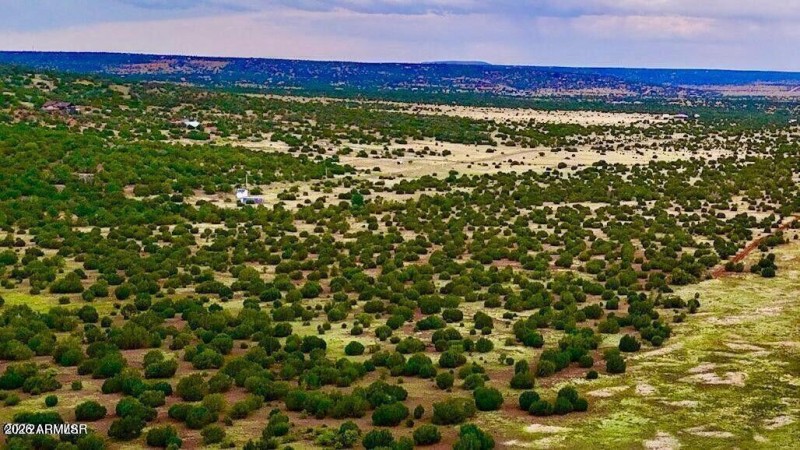 20250103084007153207000000-o