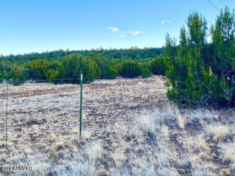 20250103084422731555000000-o