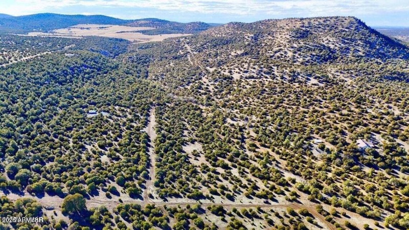 20250103084858070559000000-o