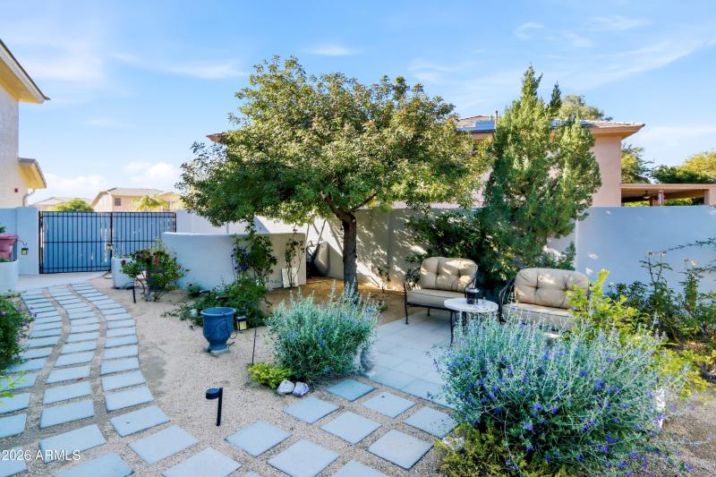 Backyard