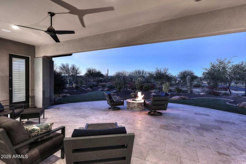 Night-Covered Pato-View