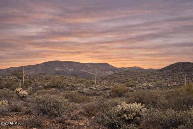 Mountain and Desert Views