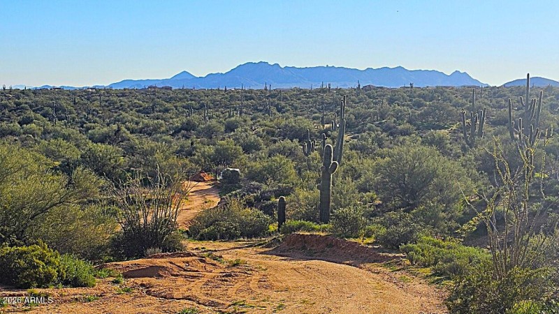 Views of the McDowell Mountains