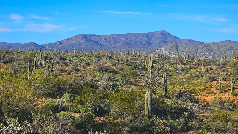 Views of Continental Mountain