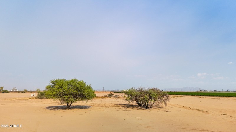 dji_fly_20240712_163354_0600_17209919514