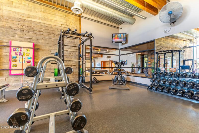 Y Weights