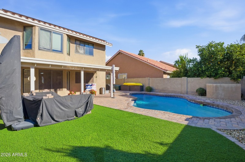 Turf Backyard