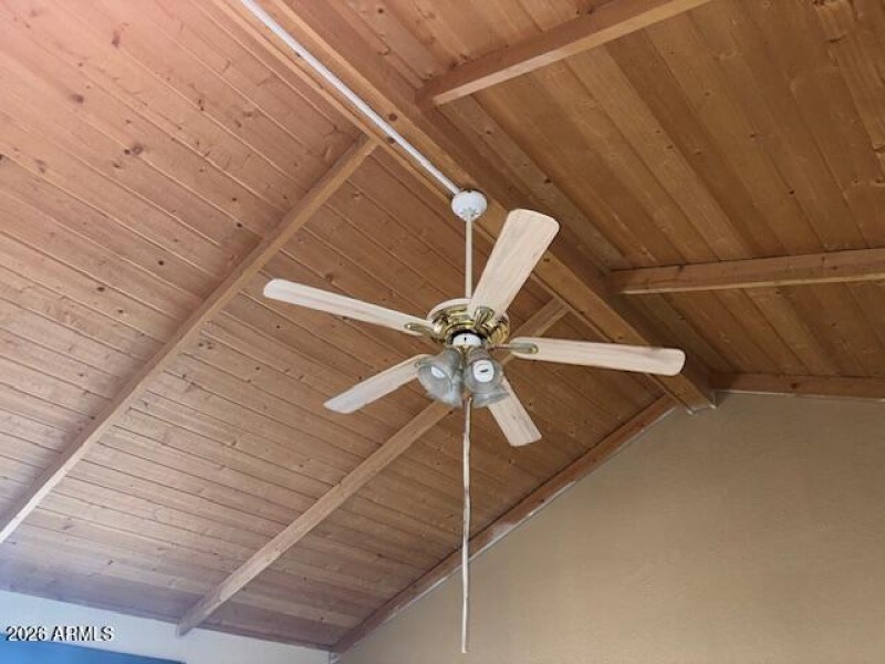 Master Bedroom Ceiling