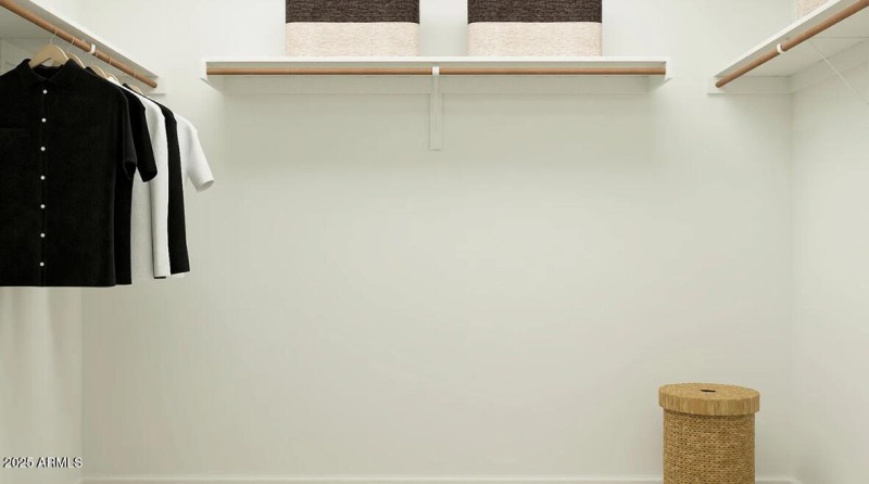 Owners Walk in Closet