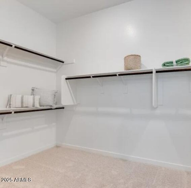 Owners Walk in Closet