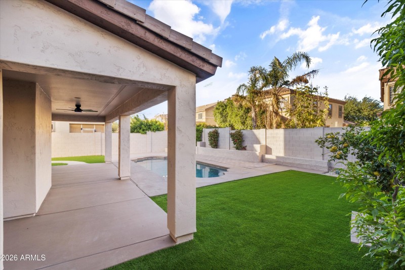 Back Yard