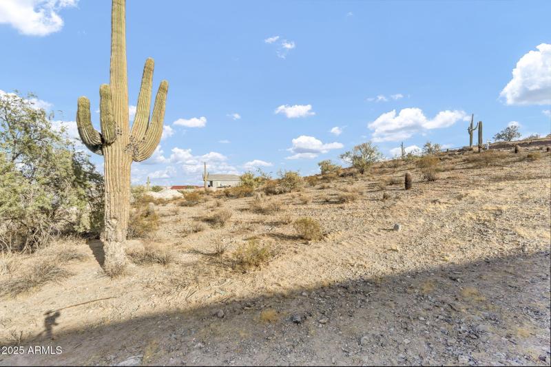 26-web-or-mls-Josiah-11 (2)