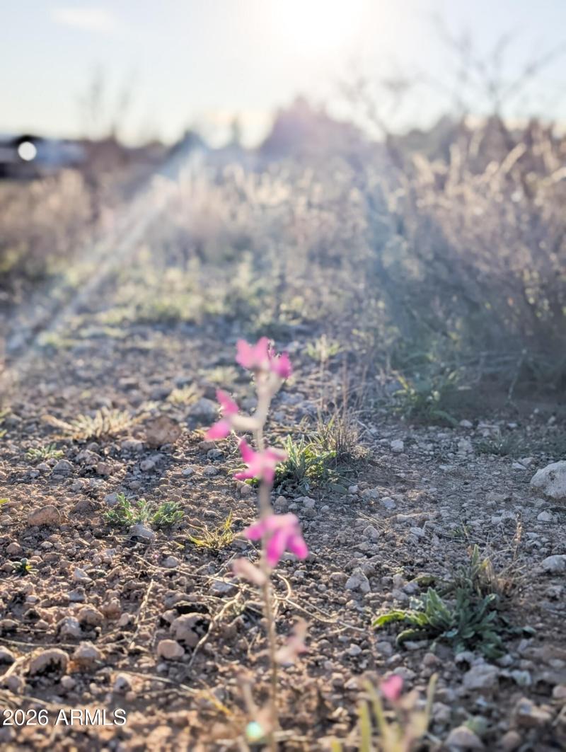 4025 Red Baron Rimrock Arizona (2)