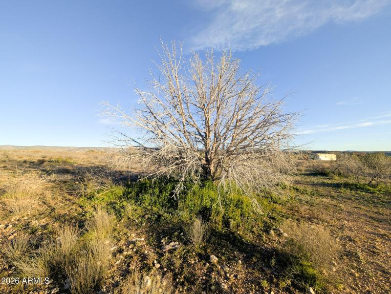 4025 Red Baron Rimrock Arizona (12)