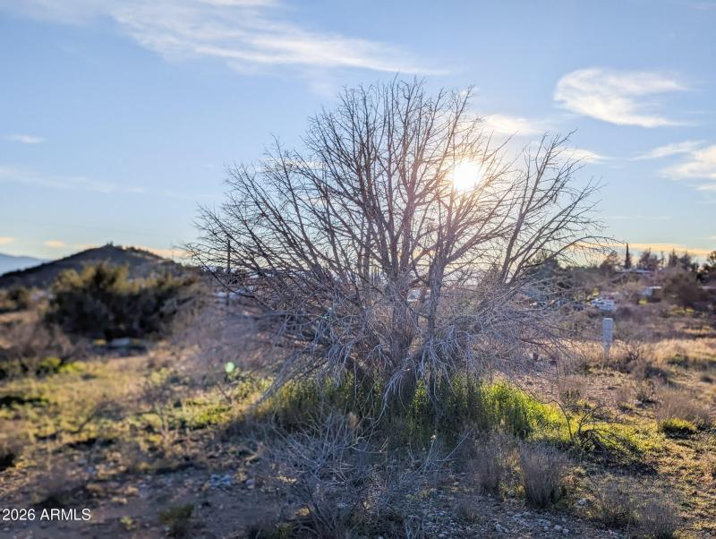 4025 Red Baron Rimrock Arizona (15)