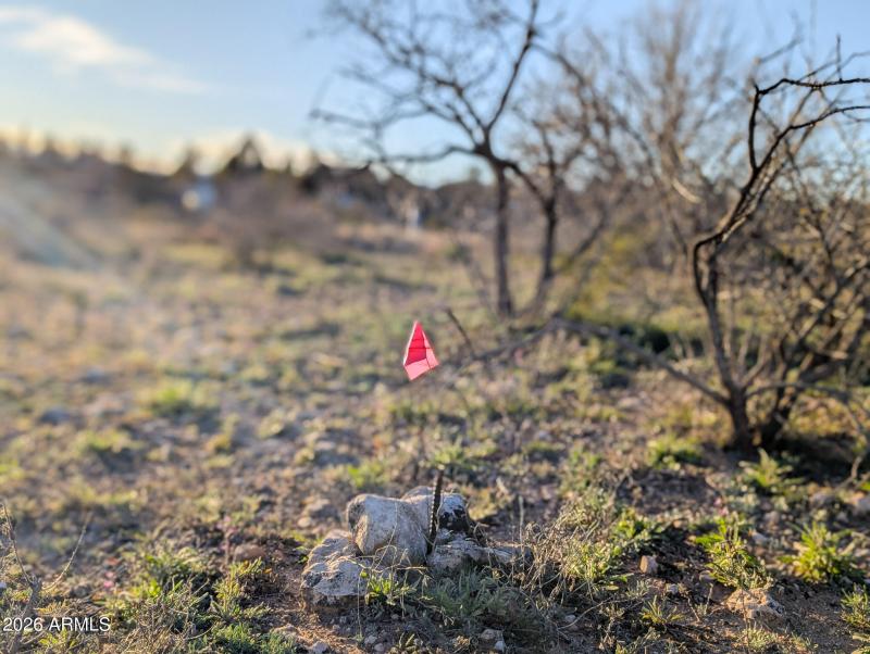 4025 Red Baron Rimrock Arizona (23)