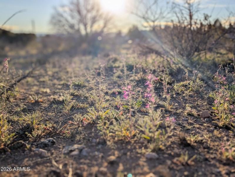 4025 Red Baron Rimrock Arizona (27)