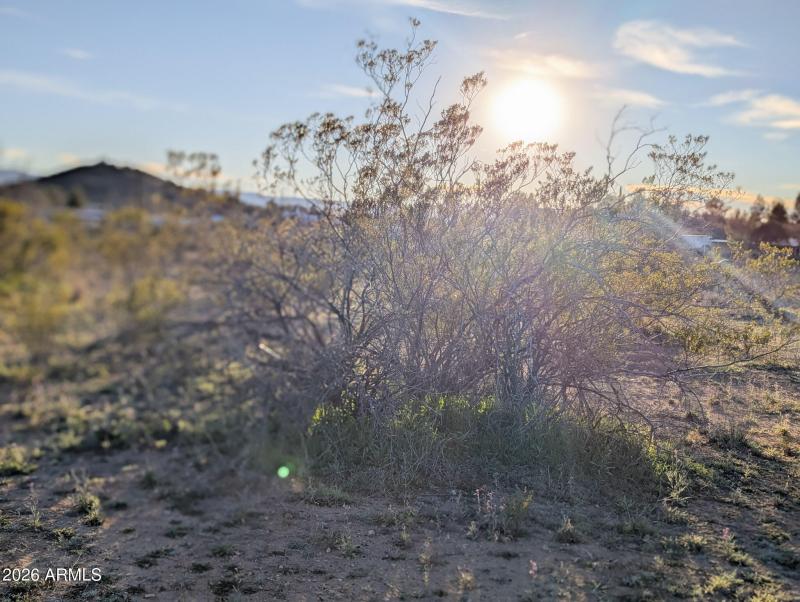 4025 Red Baron Rimrock Arizona (33)