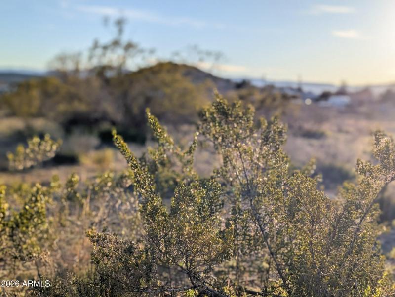 4025 Red Baron Rimrock Arizona (34)