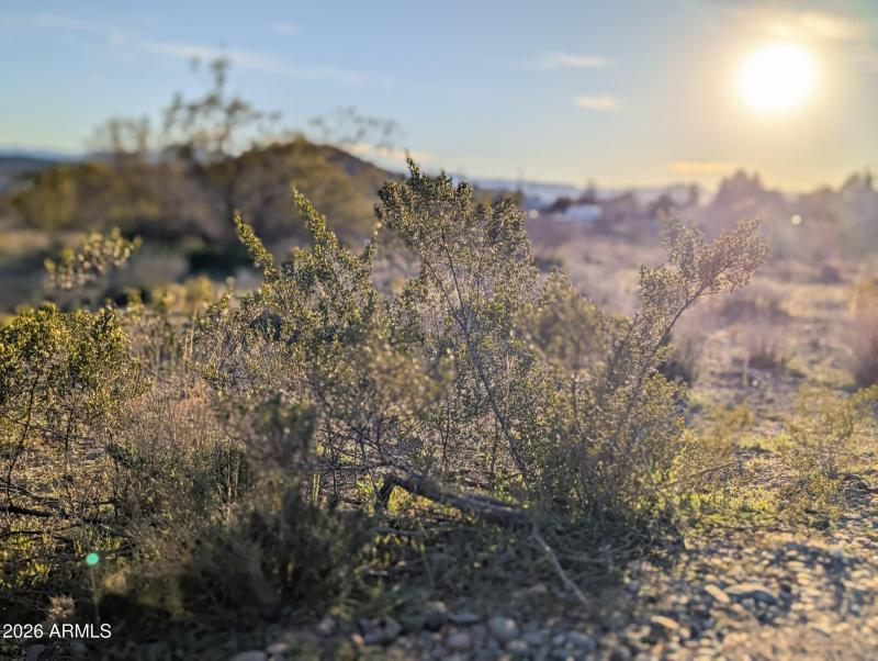 4025 Red Baron Rimrock Arizona (35)