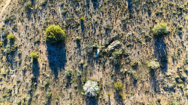 8-DJI_20260113163952_0083_D