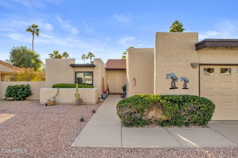 Low Maintenance Yard