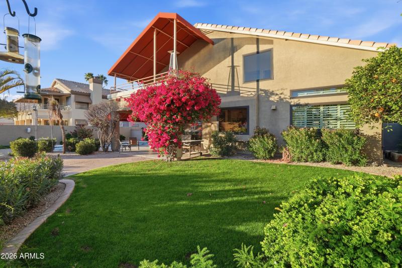 Professionally Landscaped yard