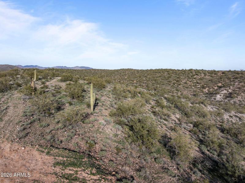 XXX Scenic Loop 20 acres Lot 3