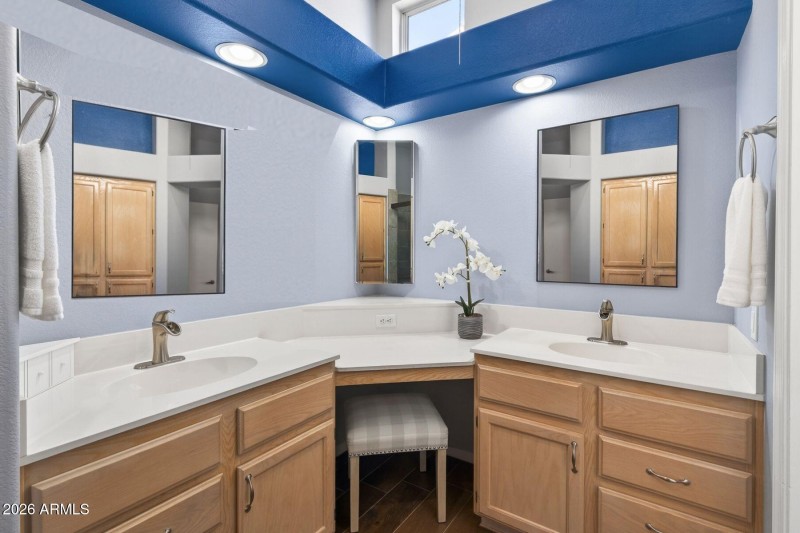 Primary Bath with Mirror adjustment