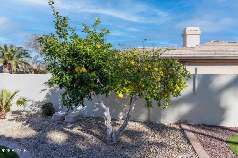 W Lynx Way (1782)-40