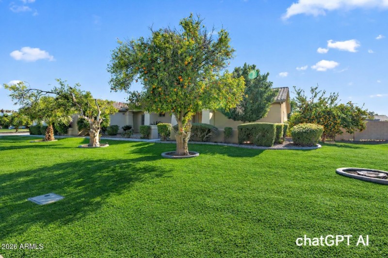 ChatGPT Image Jan 15, 2026, 05_41_09 PM