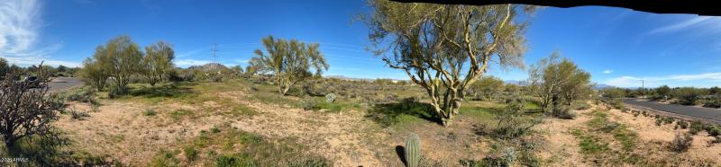 IMG_4706-Picsart-ImageResizer-2