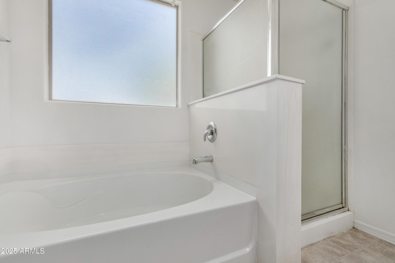 19 - Desert Moon - Copy