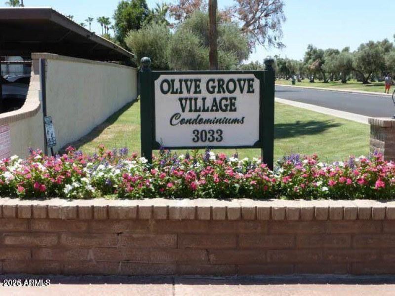 OLIVE GROVE VILLAGE