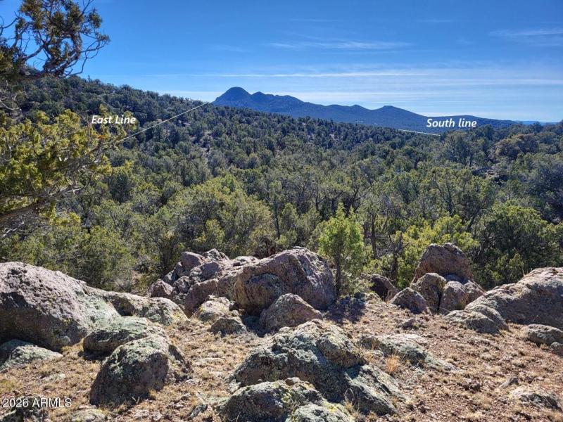 e59572d4-1850-4dfe-bcaf-f39971eb3f89