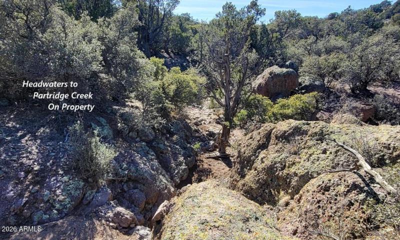 771a58b3-f2db-4790-ac43-59276ec0eaca