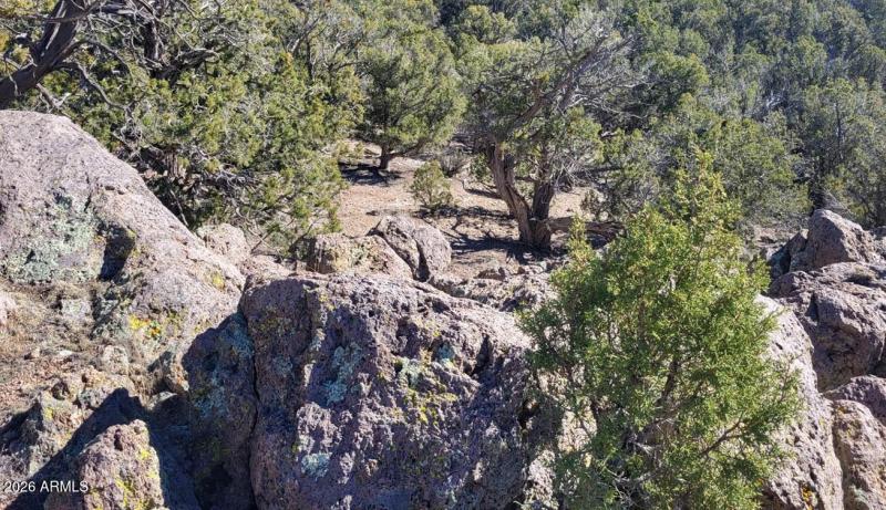 462ae727-c2df-4d49-a00b-eb3bd9acafbf