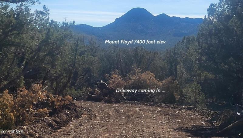 da55c9aa-6ae6-4b5e-8832-86a38dd74c90