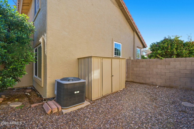 Roosevelt - backyard.5