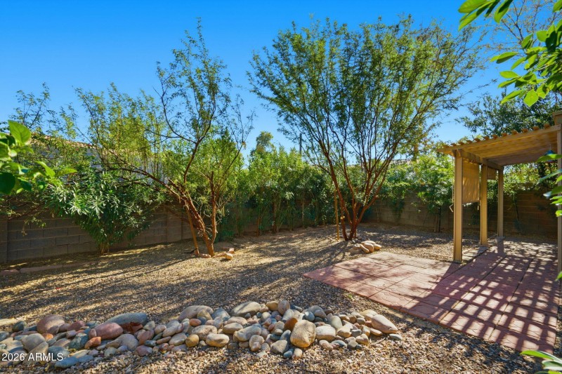 Roosevelt - backyard.6