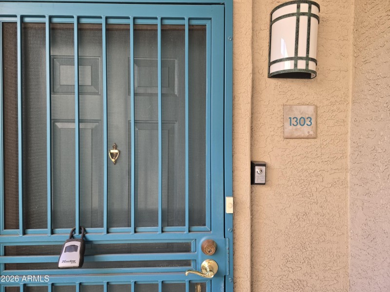 Security Door