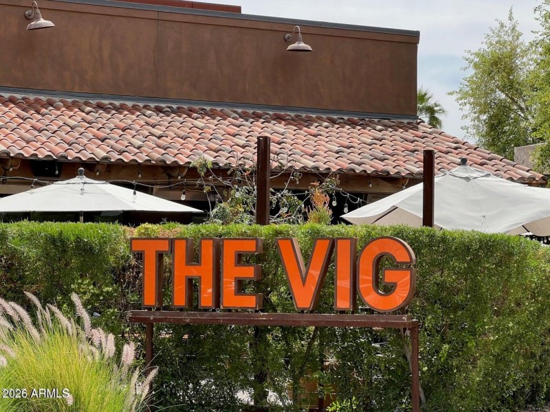 The Vig