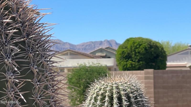 18375-E-San-Ignaciao-Ct-8